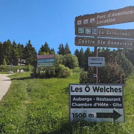 La-haut Au Lacblanc, 3 Pieces, 2 Chambres, Balcon, Cave Daire Orbey