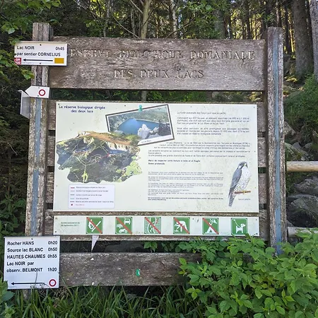 La-haut Au Lacblanc, 3 Pieces, 2 Chambres, Balcon, Cave Orbey