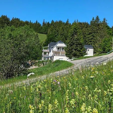 La-haut Au Lacblanc, 3 Pieces, 2 Chambres, Balcon, Cave Orbey